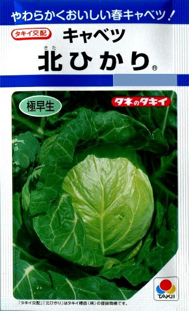 【キャベツ】北ひかり 【タキイ種苗】（1.8ml）野菜種[秋まき]DFのサムネイル