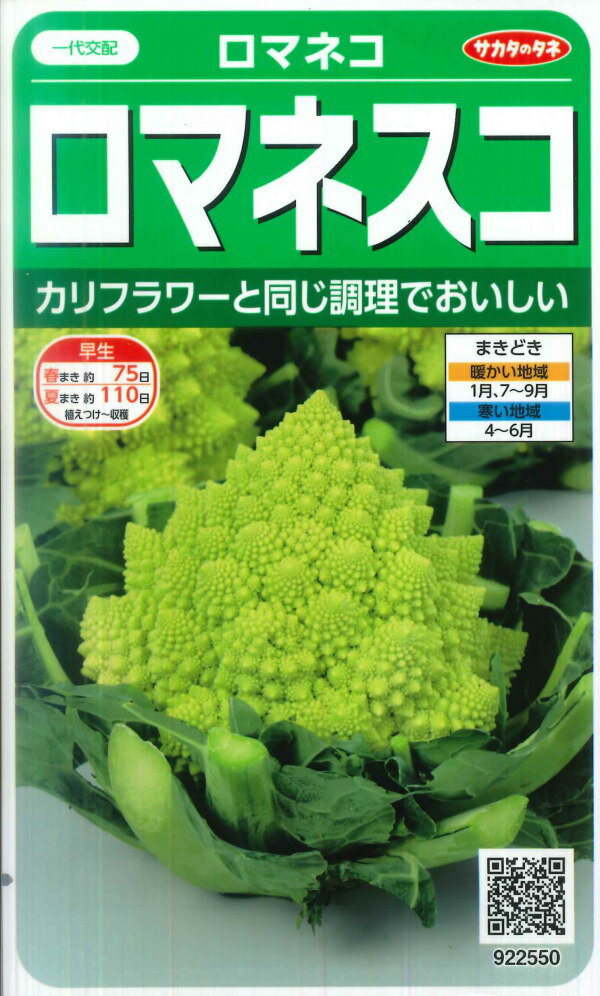 【ロマネコ】ロマネスコ【サカタのタネ】（25粒） 野菜種 922550