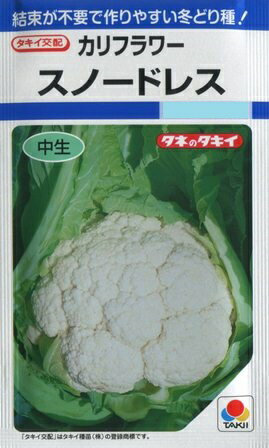 【カリフラワー】スノードレス【タキイ種苗】（1.2ml）野菜種[秋まき]DF