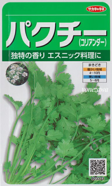 【パクチー】コリアンダー【サカタのタネ】中国野菜/ハーブ/野菜種（10ml）[春まき]923373