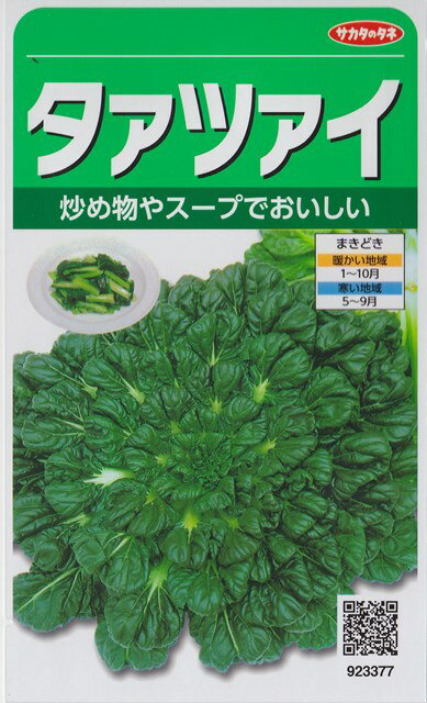 【中国野菜】タァツァイ【サカタのタネ】（7.5ml）タアツァイ[秋まき]923377