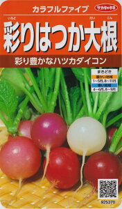 【彩りはつか大根】カラフルファイブ【サカタのタネ】（6ml）ハツカダイコン/野菜種[春まき][秋まき]925370