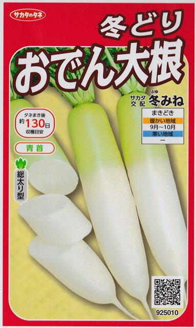 【冬どりおでん大根】冬みね【サカタ交配】（5.5ml）野菜種/ダイコン[秋まき]925010のサムネイル