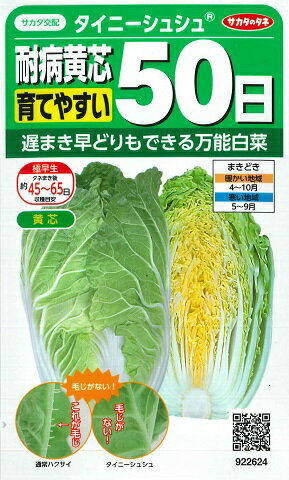 【ミニ白菜】タイニーシュシュ 耐病黄芯育てやすい極早生【サカタ交配】 2.2ml ハクサイ野菜種/サカタのタネ 922624 【RCP】