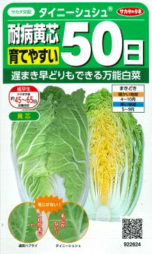 ★送料90円メール便OK★【サラダミニ白菜】タイニーシュシュ 黄芯【サカタ交配】(1.6ml)野菜種/サカタのタネ(922621)【RCP】