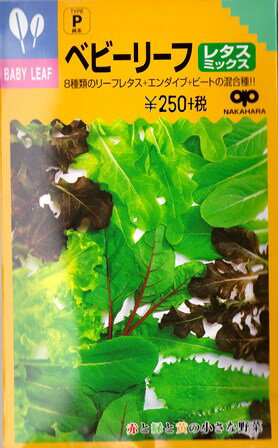 レタスミックス8種類（20ml）野菜種