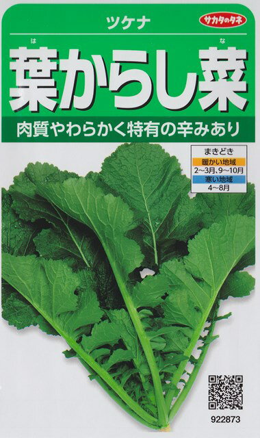 わさび菜ってどんな野菜 品種や旬の時期などの基本情報と食べ方をご紹介 暮らし の