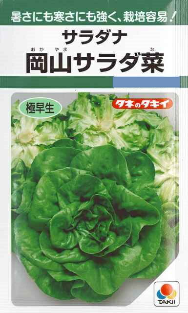 【サラダ菜】岡山サラダ菜 【タキイ種苗】 1.4ml 野菜種[春まき][秋まき]GF
