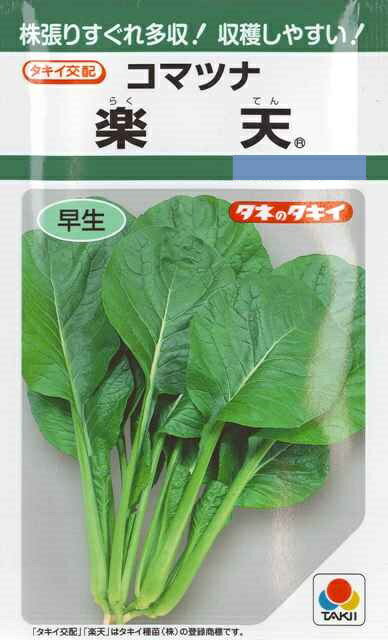 楽天（7ml） 野菜種/小松菜/タキイ種苗GF
