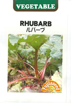 ルバーブの育て方 水やりや土など基本管理から収穫方法 食べ方まで Botanica ルバーブの育て方 水やりや土など基本管理から収穫方法 食べ方まで Botanica