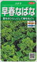 【ハナナ】早春なばな 【サカタ交配】(5ml)野菜種[秋まき...