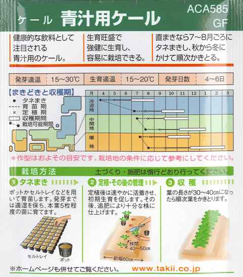 ★送料90円メール便OK★【ケール】青汁用ケール 【タキイ種苗】（6ml）野菜種[春まき][秋まき]GF【RCP】