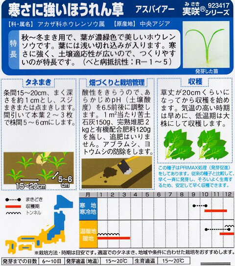 ★送料90円メール便OK★【寒さに強いほうれんそう】アスパイアー PRIMAX【サカタ交配】（30ml）発芽促進処理種子/ホウレンソウ[秋まき]923417【RCP】
