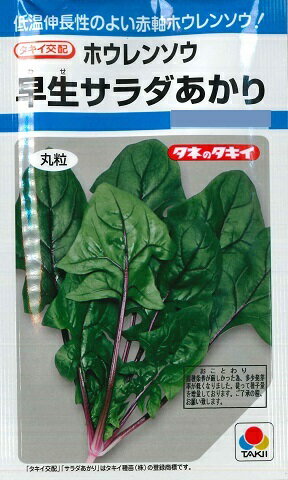 【ホウレンソウ】早生サラダあかり9ml【タキイ種苗】MF