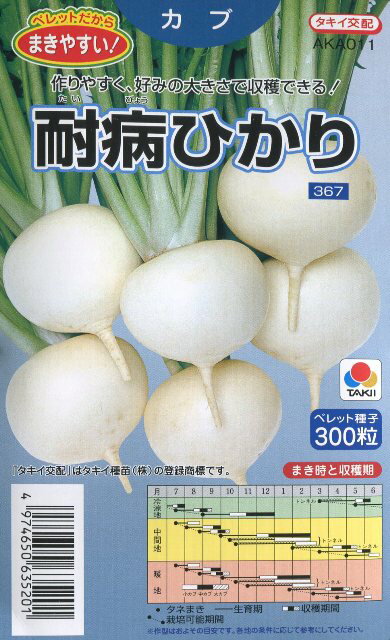 【カブ】耐病ひかり（ペレット種子）【タキイ交配】（300粒）野菜種[秋まき]のサムネイル