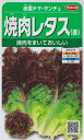 焼肉レタス（赤）（2.5ml）かきチシャ/野菜種923685