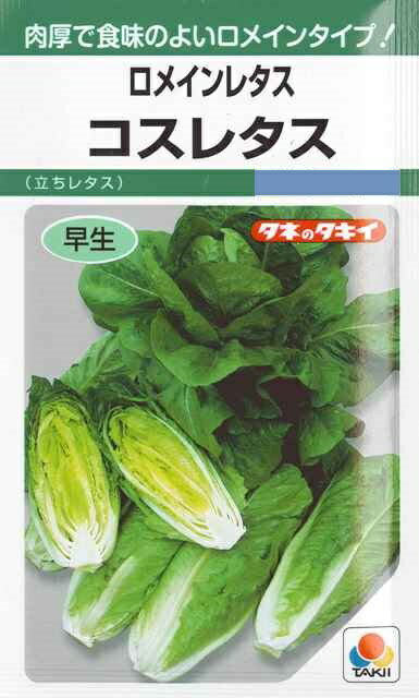 ★送料90円メール便OK★【ロメインレタス】コスレタス【タキイ種苗】（2ml）立レタス/野菜種[春まき][秋まき]GF【RCP】