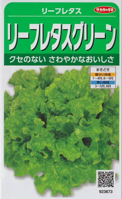 ★送料90円メール便OK★【リーフレタス】リーフレタスグリーン【サカタのタネ】（3.5ml）[春まき][秋まき] 923673【RCP】