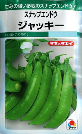 白花つるあり【スナップエンドウ】ジャッキー【タキイ種苗】（18ml）野菜種[秋まき][春まき]GFのサムネイル