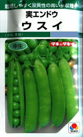 【実エンドウ】ウスイ（大粒・黒目）【タキイ種苗】（18ml）野菜種[秋まき]GFのサムネイル