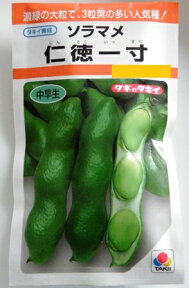 【ソラマメ】仁徳一寸【タキイ種苗】（35ml）野菜種[秋まき]