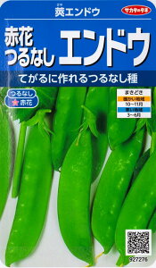 【莢エンドウ】赤花つるなしエンドウ【サカタのタネ】（30ml）野菜種[秋まき]927276