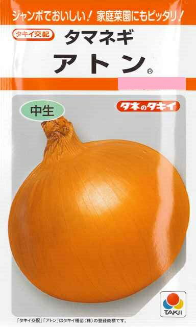 【タマネギ】アトン【タキイ交配】（2.7ml）野菜種[秋まき]RFのサムネイル