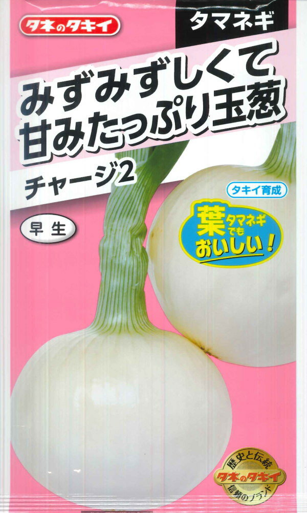 【タマネギ】チャージ2（ツー）【タキイ育成】野菜種（3ml/約320粒）[秋まき]ATA211のサムネイル