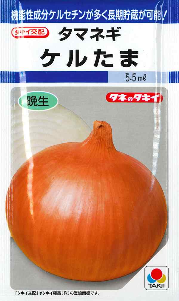 【タマネギ】ケルたま【タキイ交配】（4.5ml）野菜種[秋まき]DF