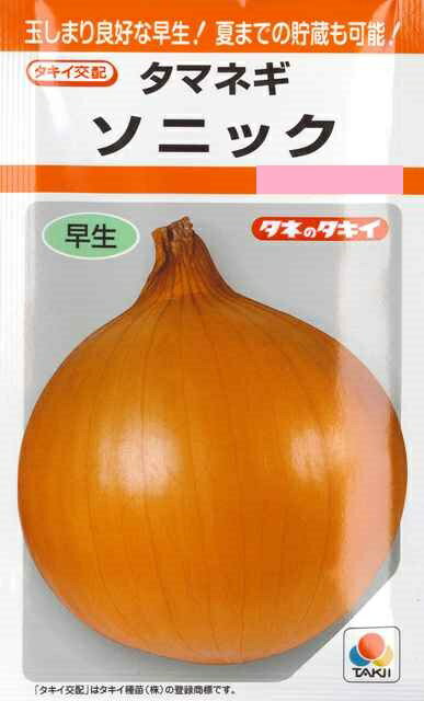 【タマネギ】ソニック【タキイ交配】（2.2ml）[秋まき]野菜種RFのサムネイル
