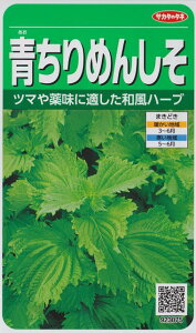 【シソ】青ちりめんしそ 【サカタのタネ】（5ml）野菜種[春まき]923075