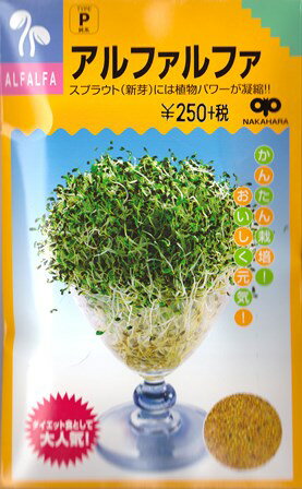 【スプラウト】アルファルファ【中原採種場】（25ml）野菜種[周年まき]
