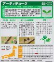 アーティチョーク 【サカタのタネ】（1.3ml）ハーブ[多年草][春まき] 928091