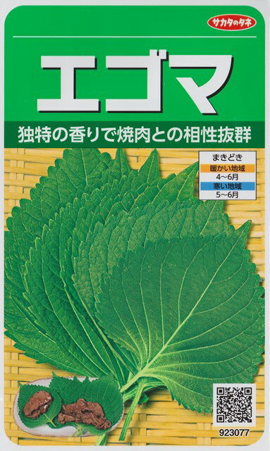 エゴマ 【サカタのタネ】（7.5ml）野