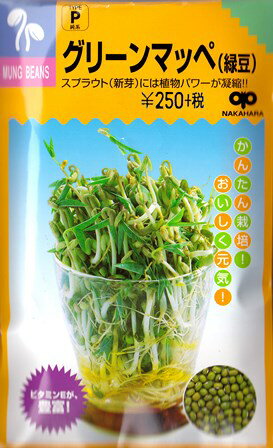 【スプラウト】グリーンマッペ(緑豆）【中原採種場】（30ml）野菜種