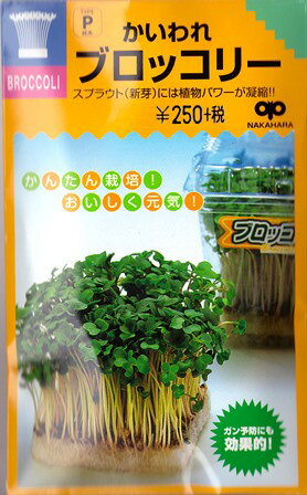 ★送料90円メール便OK★【スプラウト】かいわれブロッコリー【中原採種場】（40ml）野菜種[周年まき]【ブロッコリースプラウト通販販売】【RCP】