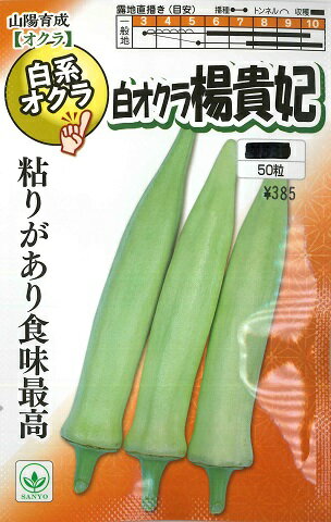 【白オクラ】楊貴妃（ようきひ） 【山陽育成】（50粒）野菜種[春まき]山陽種苗