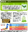 【ハーブの種】ボリジ【サカタのタネ】1.9ml【耐寒性一年草】[春まき][秋まき]928085 2