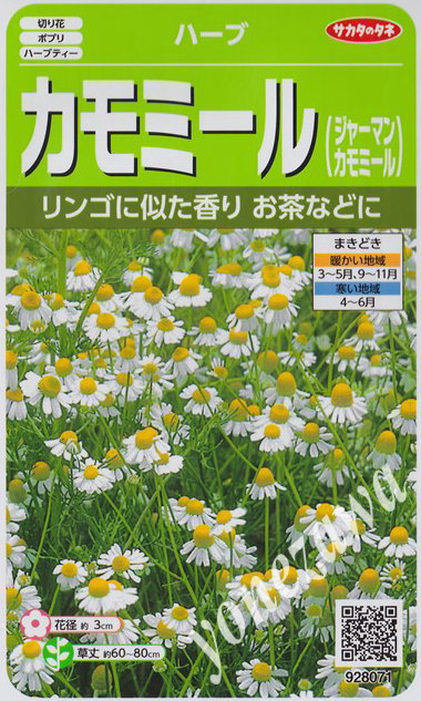 春から初夏に花が咲いたら収穫します。 開花後3〜4日目の花芯が少しふくらんだ状態が採取適期で、リンゴに似た甘い香りがします。 花はカモミールティーとして香りを楽しみます。乾燥させた花はお茶、ドライフラワー、ポプリ、浴用剤などに使います。 コンパニオンプランツとして、害虫防除に利用される用途の広いハーブです。 ●数　量：商品名に記載 ●生産地：ポーランド ●発芽率：65％以上 ●粒数目安：およそ4150粒 ●有効期限：2024年10月末日 ※この種子は農薬を使っていません ●花径：約3cm ●草丈：約60〜80cm ●和名：カミツレ ●原産地：ヨーロッパ、北アジア ※ご注文時、まきどきにご注意下さい。