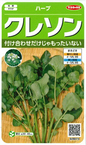 【代引不可】【送料5袋まで80円】◇ seed たね tane 種 種子 タネ □バジルタイバジルホーラパー■■ハーブ 種 ハーブ 種 ハーブ 種 ハーブ 種 ハーブ 種 ハーブ 種 ハーブ 種 ハーブ 種 ハーブ 種 ハーブ 種 ハーブ