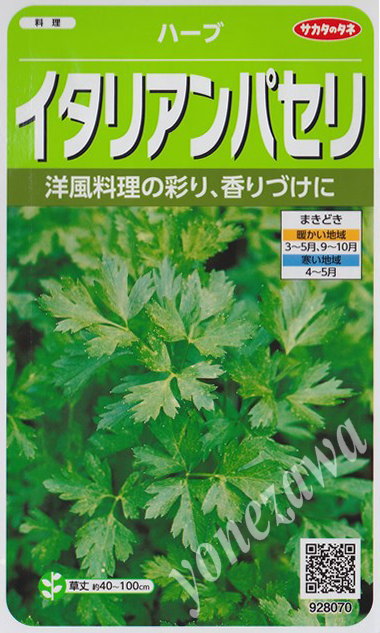 【ハーブの種】イタリアンパセリ【サカタのタネ】（1.8ml）【耐寒性一～ニ年草】[春まき][秋まき]928070