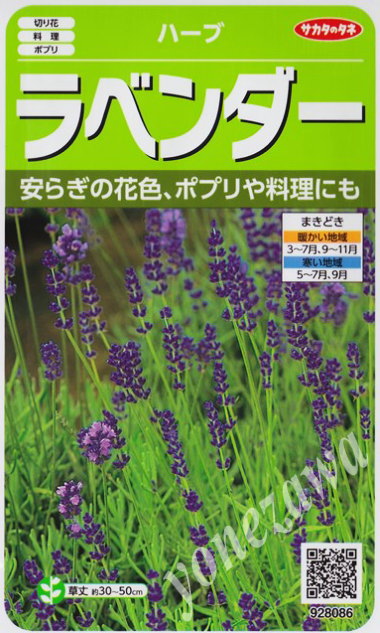 【ハーブの種】ラベンダー【サカタのタネ】 0.1ml 【多年草】[春まき][秋まき]928086