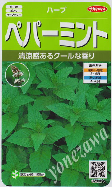 【代引不可】【送料5袋まで80円】◇ seed たね tane 種 種子 タネ □バジル■ハーブ 種 ハーブ 種 ハーブ 種 ハーブ 種 ハーブ 種 ハーブ 種 ハーブ 種 ハーブ 種 ハーブ 種 ハーブ 種 ハーブ 種 ハーブ 種 ハーブ 種