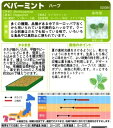 【ハーブの種】ペパーミント【サカタのタネ】（0.2ml）【多年草】春まき928084 2