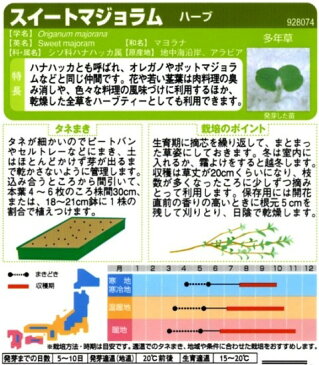 【ハーブの種】スイートマジョラム【サカタのタネ】（1.9ml）【多年草】[春まき]928074