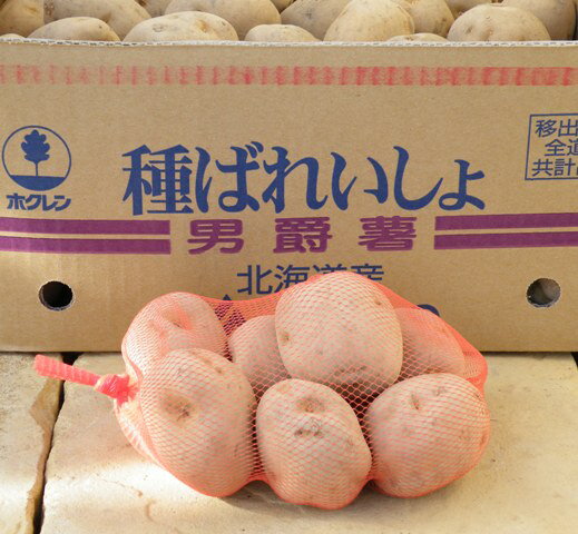 【種イモ】 ダンシャク（男爵） 【1kg】じゃがいもの種芋【ジャガイモ】のサムネイル