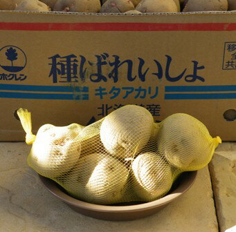 【種イモ】 キタアカリ（北あかり） 【1kg】じゃがいもの種芋【ジャガイモ】のサムネイル