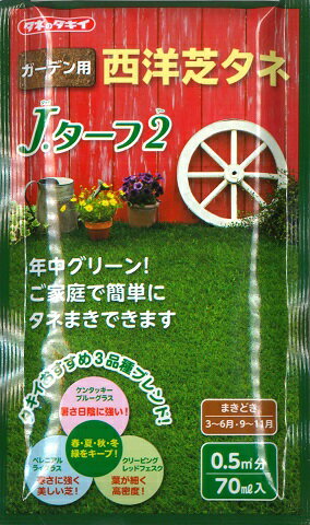 【芝生の種エバーグリーン】JターフII 70ml 約20g 0.5平米分【タキイ種苗】【家庭園芸用西洋芝タネ】