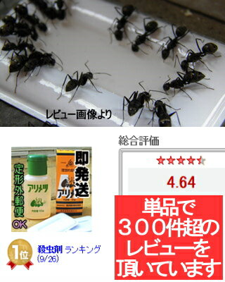 アリメツ【殺虫剤】55g×2個セット【メール便送料無料】すぐ発送横浜植木（専用皿1箱に2個付属）の殺蟻剤アリの駆除に 3