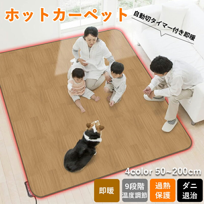 ホットカーペット ホットマット 2畳 1畳 1.5畳 3畳 省エネ 電気カーペット 電気マット 防水 抗菌 お洒..